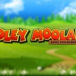 Moley Moolah – Ny slot från Yggdrasil